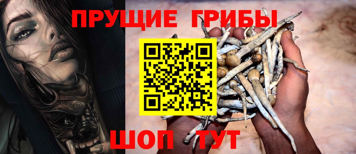 Галлюциногенные грибы MAGIC MUSHROOMS Ессентуки