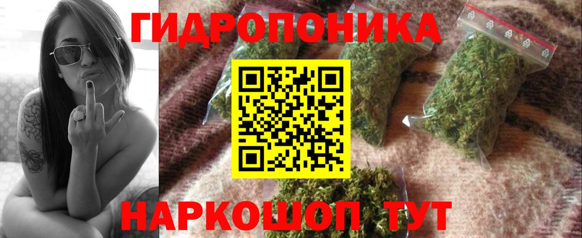Бошки марихуана планчик Ессентуки